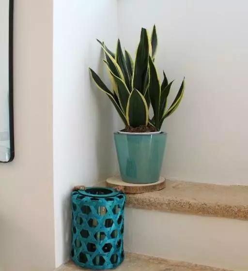 Majatalo Maison Chene Con Vasca Idromassaggio