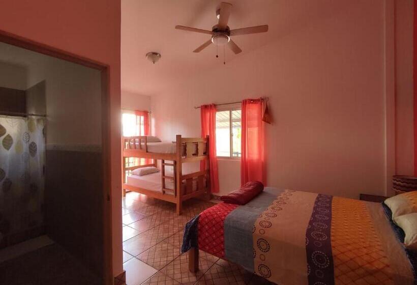 پانسیون Rainforest Lodge Del Rio