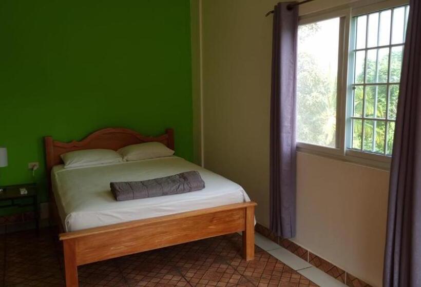 پانسیون Rainforest Lodge Del Rio