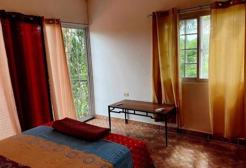 پانسیون Rainforest Lodge Del Rio