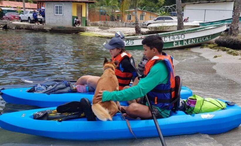 پانسیون Rainforest Lodge Del Rio