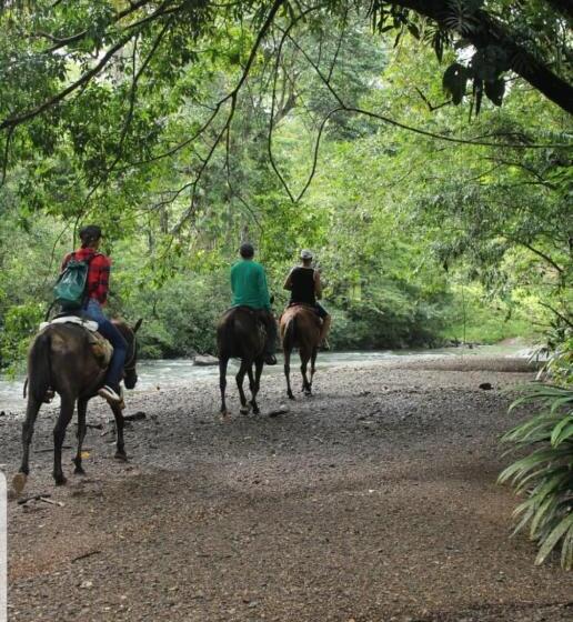 پانسیون Rainforest Lodge Del Rio