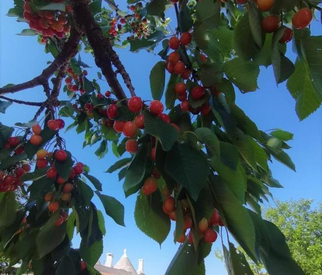 Trullo La Chicca Della Valle