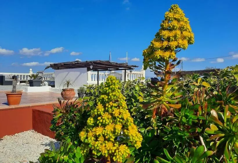 B&b Finca Sueño De Vida