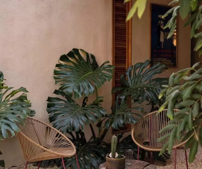 ベッドアンドブレックファースト Galopina