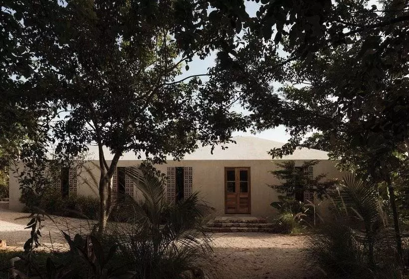 ベッドアンドブレックファースト Galopina