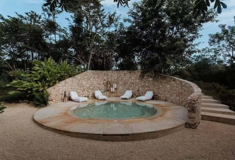 ベッドアンドブレックファースト Galopina