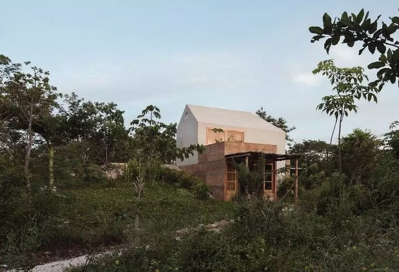 ベッドアンドブレックファースト Galopina