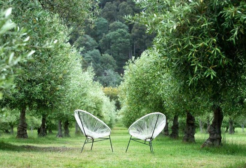 住宿加早餐 Wanderers Cottage