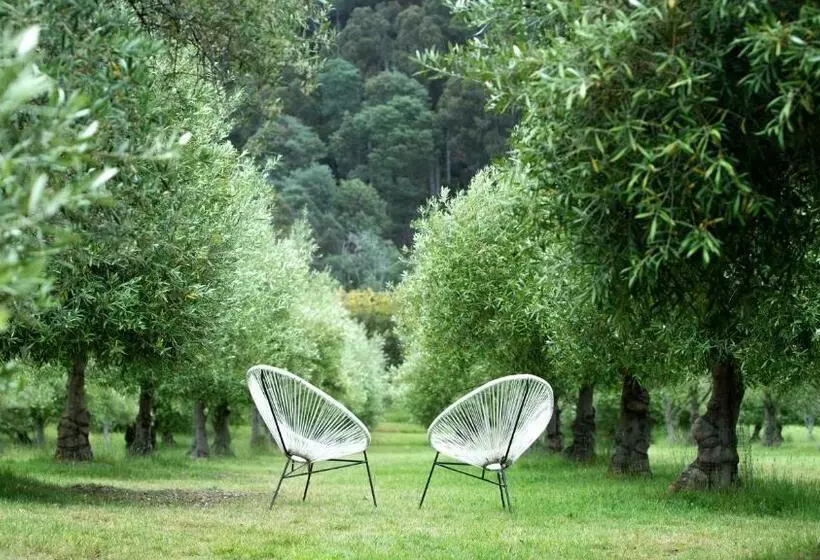 Aamiaismajoitus (B&B) Wanderers Cottage