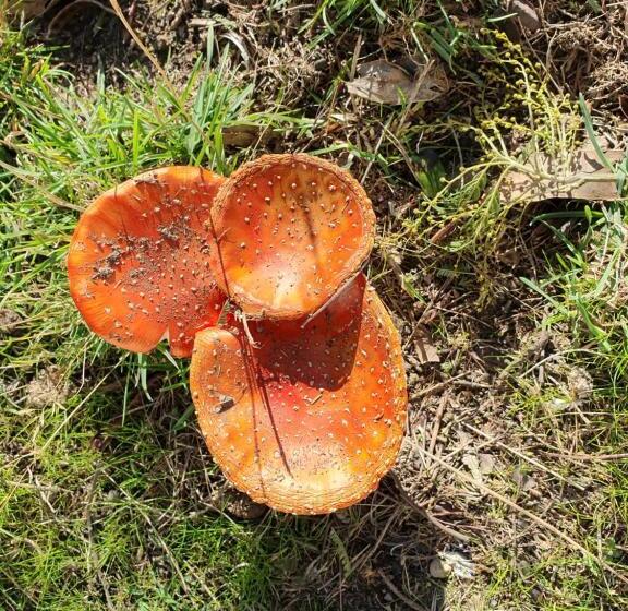 住宿加早餐 Wanderers Cottage