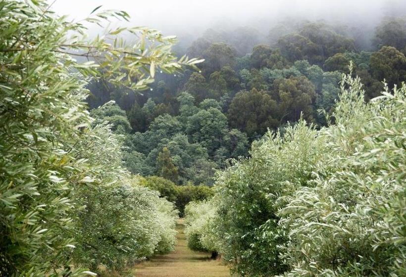 住宿加早餐 Wanderers Cottage