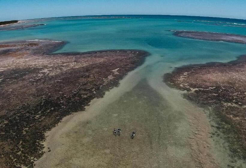 پانسیون Nori Pousada