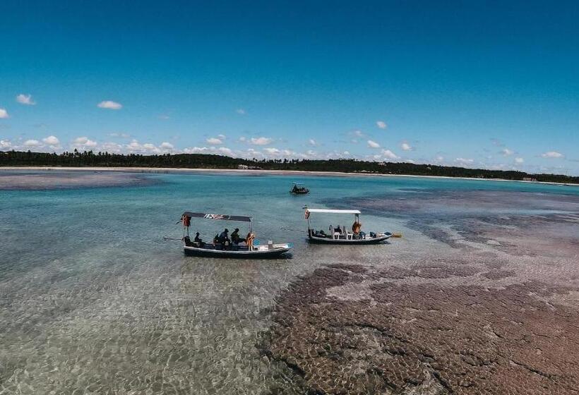 پانسیون Nori Pousada