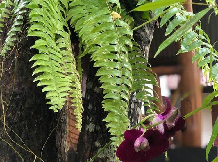 호텔 Bounty Resort