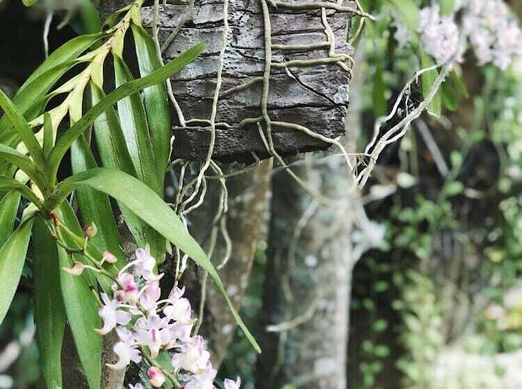 호텔 Bounty Resort