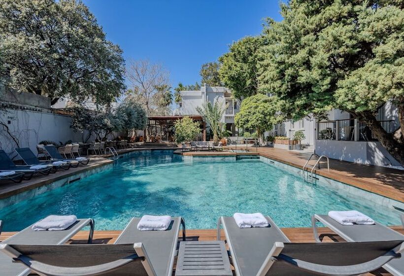 فندق Centro Bodrum