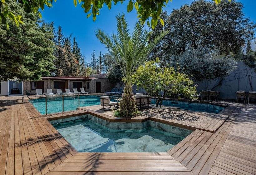 فندق Centro Bodrum