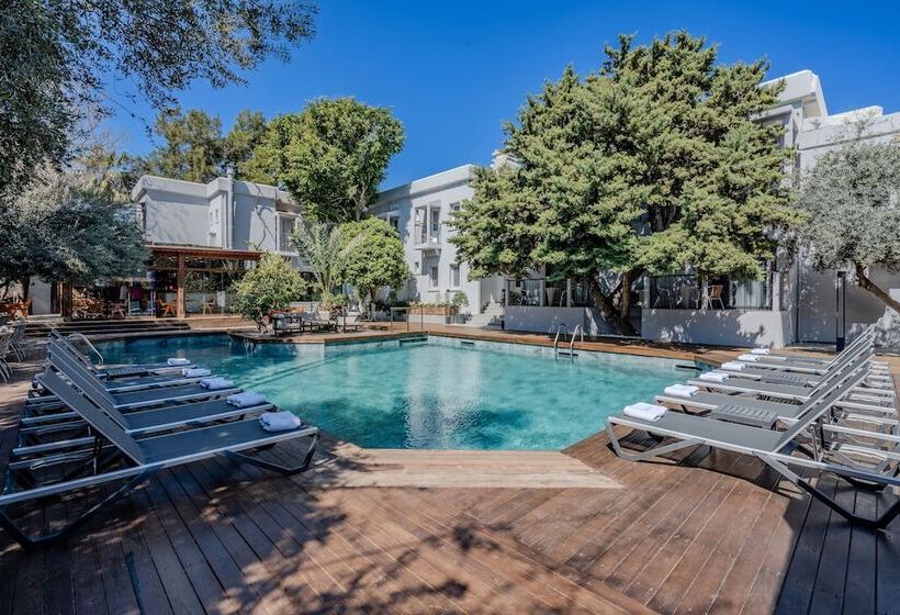 فندق Centro Bodrum