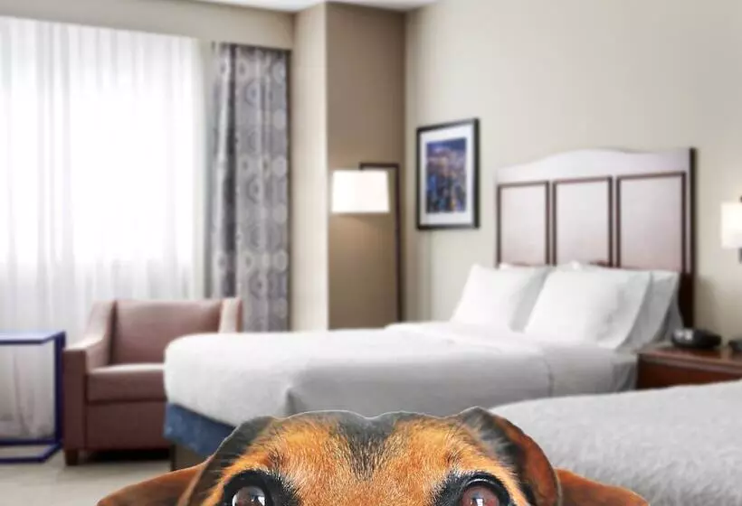 ホテル Hampton Inn & Suites Chicago/mt. Prospect