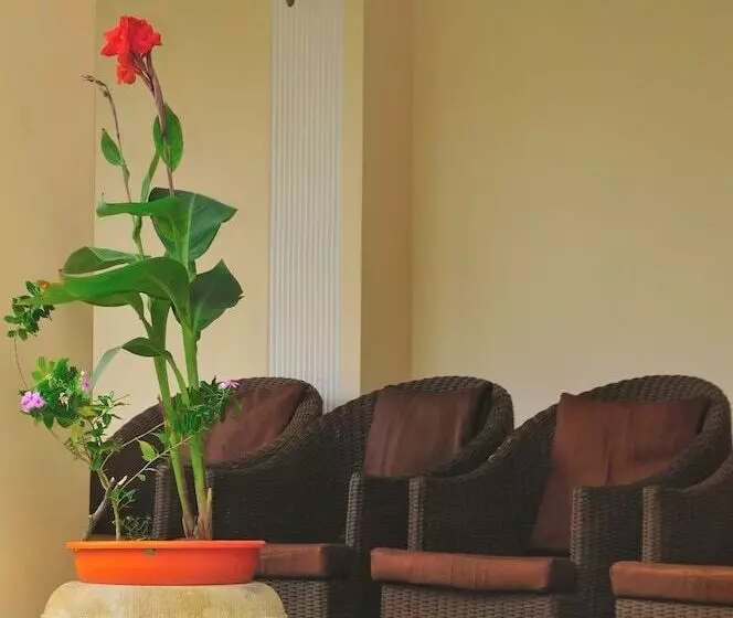 فندق Le Roi Corbett