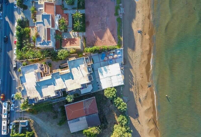 فندق Minerva Beach