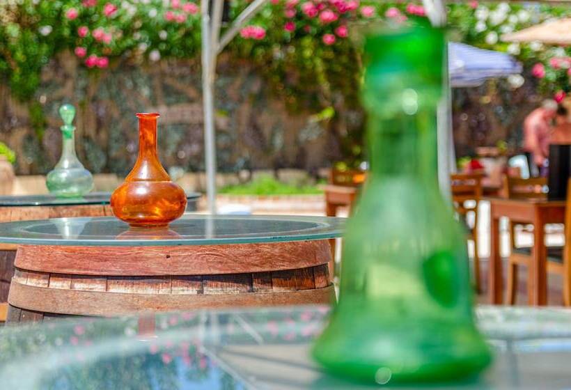 فندق Minerva Beach