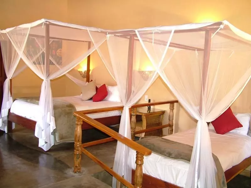 Hotel Mushroom Lodge