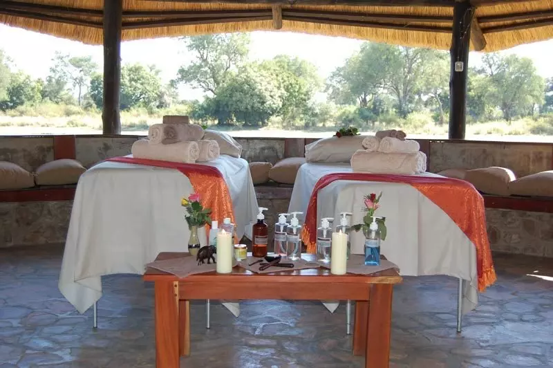 Hotel Mushroom Lodge