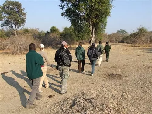 Hotel Mushroom Lodge