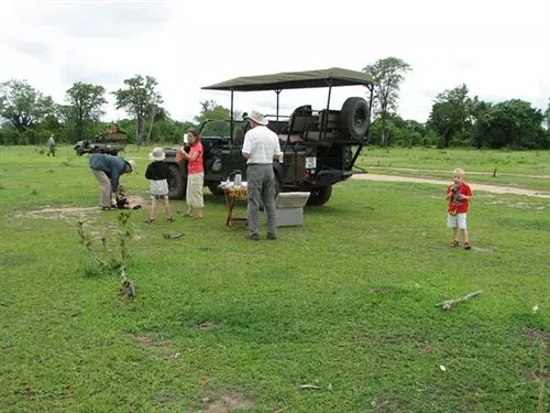 Hotel Mushroom Lodge