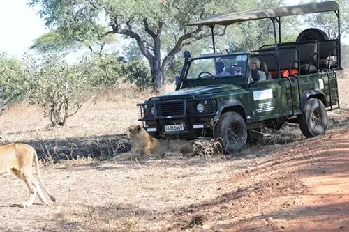 Hotel Mushroom Lodge
