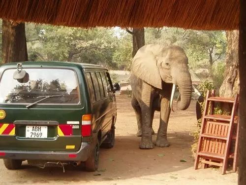 Hotel Mushroom Lodge