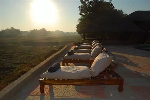 Hotel Mushroom Lodge