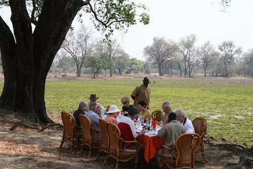 Hotel Mushroom Lodge