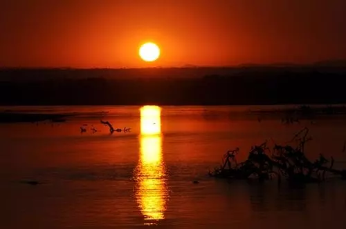 Hotel Mushroom Lodge