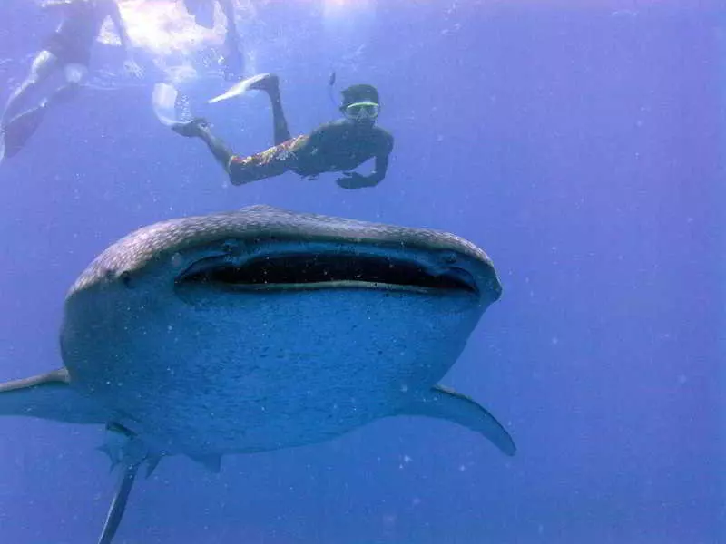 پانسیون Holiday Lodge Maldives