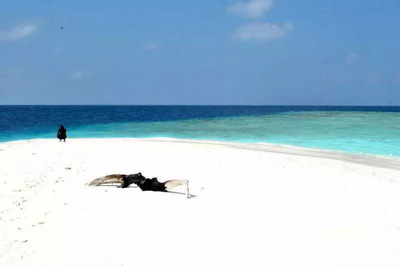 پانسیون Holiday Lodge Maldives