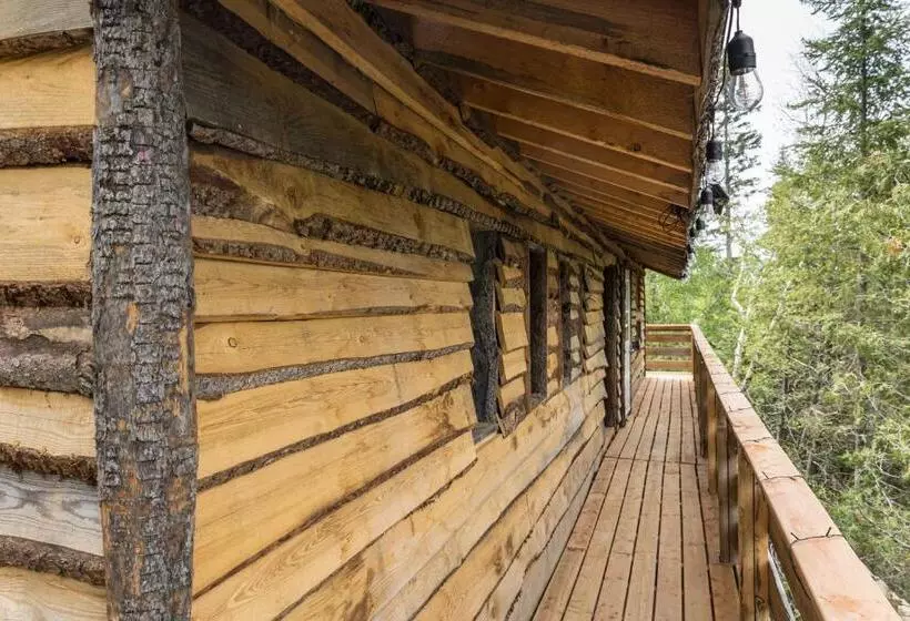 Lomakeskus Entre Lemoine Et L Arbre