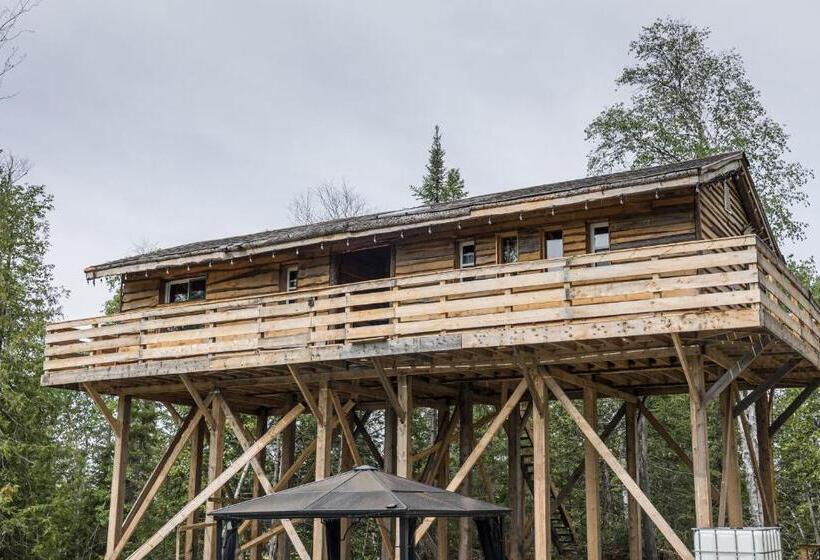 渡假胜地  Entre Lemoine Et L Arbre