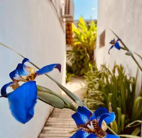 ユースホステル Pousada Vila Dendê