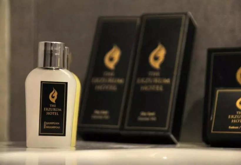 هتل The Erzurum