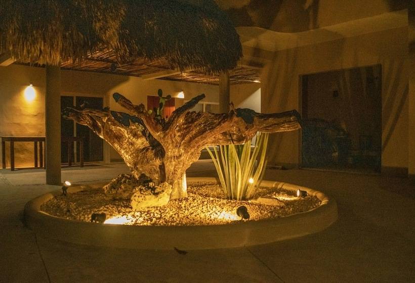 Отель Circulo Bacalar