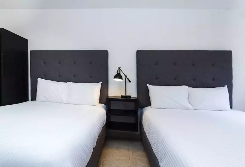 ホテル San José Suites Boutique