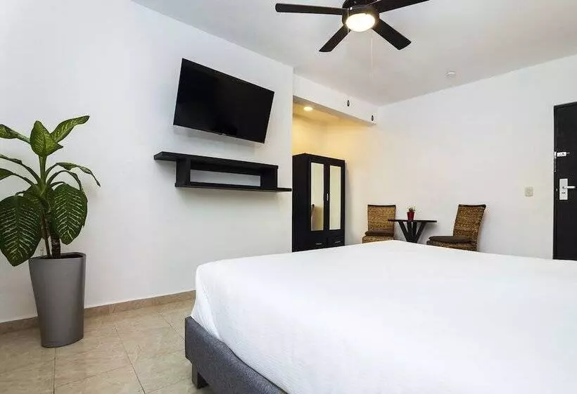 ホテル San José Suites Boutique