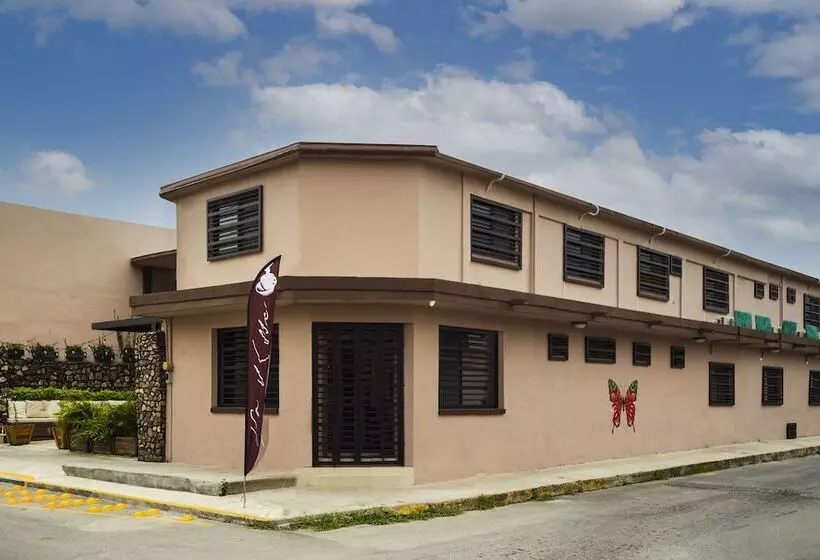 ホテル San José Suites Boutique
