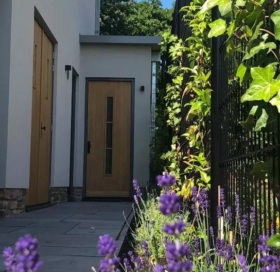 B&b In De Schulp   Luxe Studio & Parking