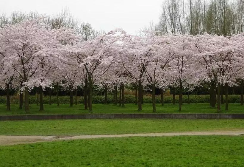 B&b In De Schulp   Luxe Studio & Parking