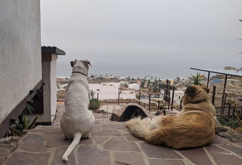 מלון כמוסות Native Residence