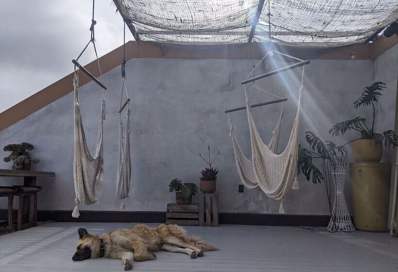 מלון כמוסות Native Residence